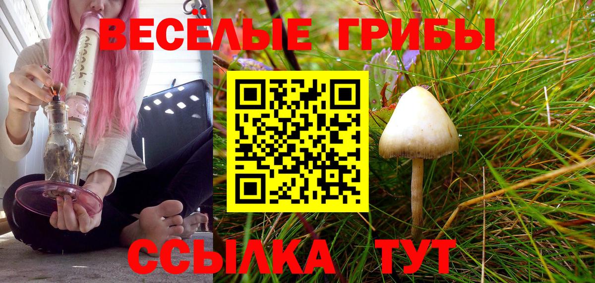 Псилоцибиновые грибы GOLDEN TEACHER  Псилоцибиновые грибы прущие грибы  Северобайкальск  Вход с VPN 